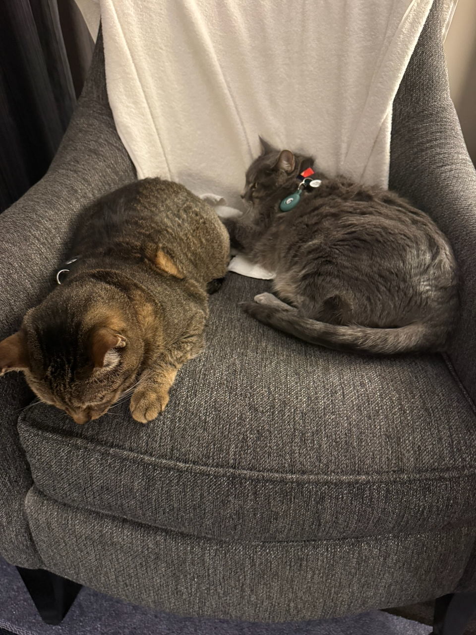 "Ready" for day two...