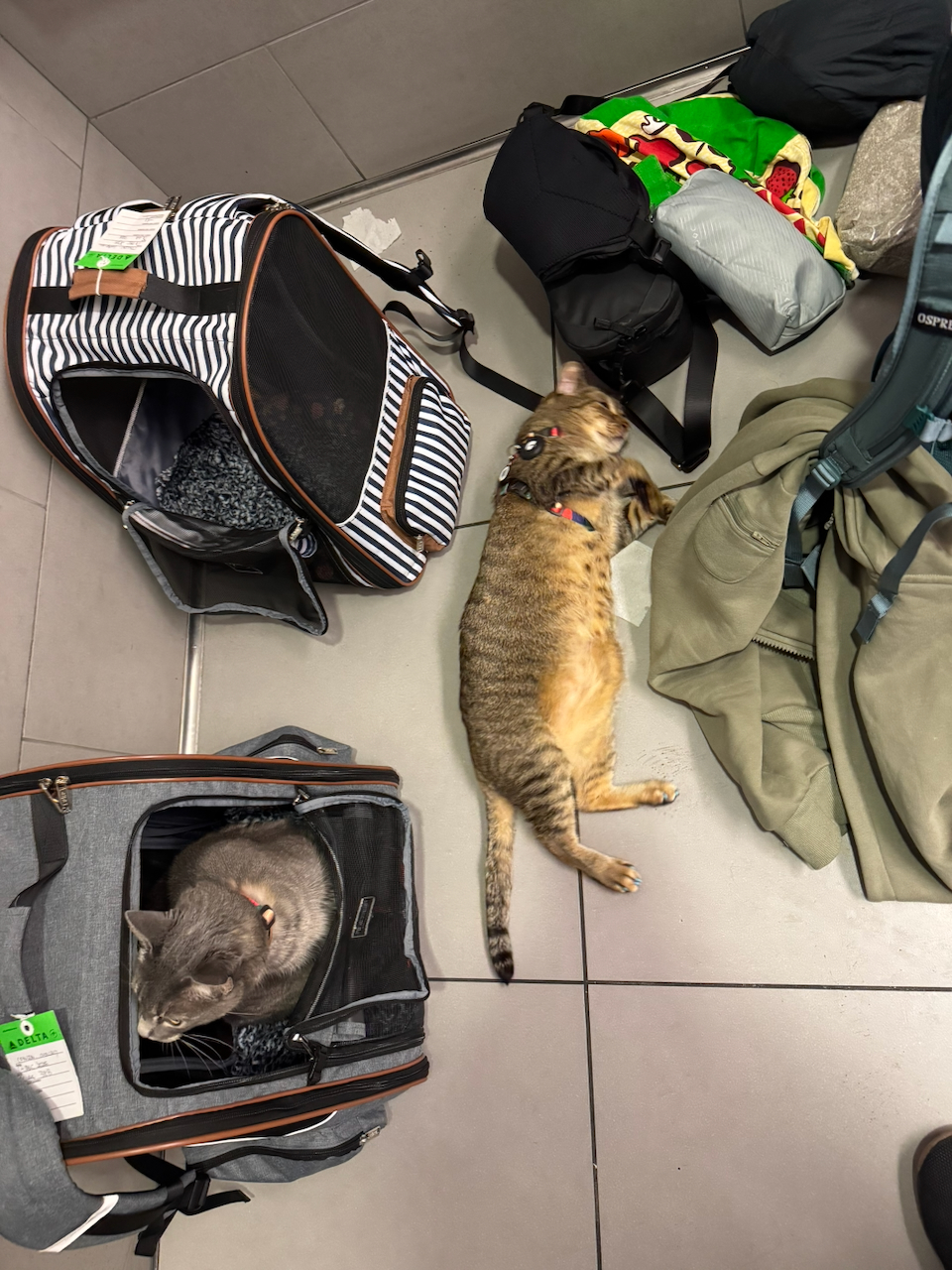 Everyone gets a bathroom break